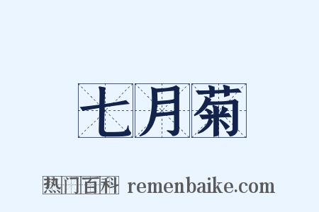 七月菊是什么意思的图片